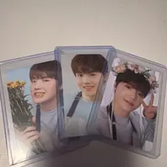 Blooming Treasure ドヨン