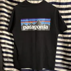 パタゴニア Patagonia 名古屋 Nagoya Tシャツ USA 限定 L - メルカリ