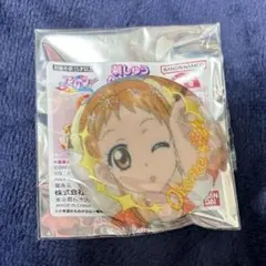 Stage! 2025 缶バッジ 有栖川おとめ - メルカリ