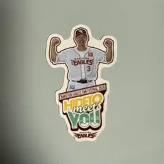 Item thumbnail for item 027bd5c7-cfaa-44a1-8cfa-5fa6d8d389c1