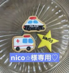 nico✩様専用ページ♡3/10〜