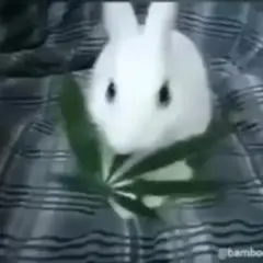 ゆい専用