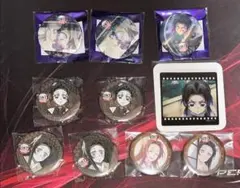 鬼滅の刃　胡蝶しのぶ　カナエ　缶バッジ　フィルム風クリアカード