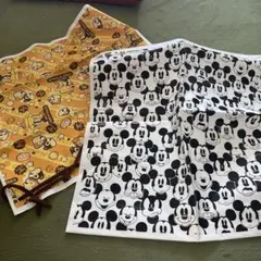 ミッキー＆チップ＆デール プラスチック　2個セット