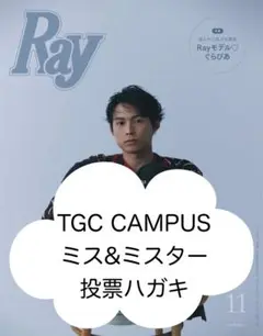 Ray レイ 2025/11 TGC CAMPUS ミス&ミスター 投票ハガキ