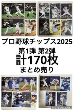 プロ野球チップス2025 第1弾、第2弾 まとめ売り
