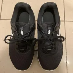 ナイキ　レボリューション？　24.5