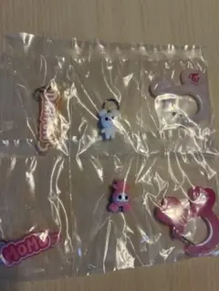 【プチまるこ様専用】モモ、ダヒョン　カラビナ