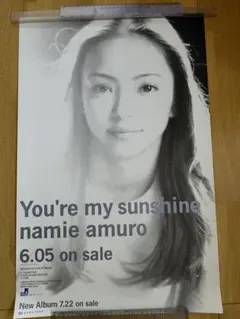 2026年最新】国内アーティスト：安室奈美恵 ポスターの人気アイテム