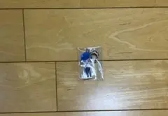 いれいす If アクリルキーホルダー