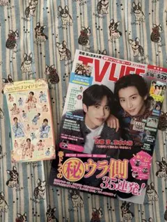 三浦春馬さん×三吉彩花 切り抜き ELLE - メルカリ