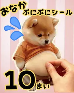 【新品】柴犬　犬　お腹ぷにぷに 　ステッカー 　10枚　お尻　おなか