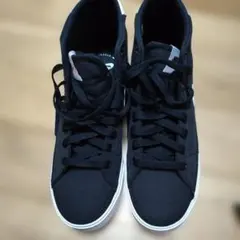 Item thumbnail for item bf281a51-fc78-4e69-9597-20bbd0d15b01