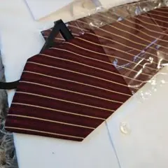 Salvatore Ferragamo ☆ストライプ ネクタイ