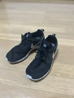 nike ローシ ラン　25.5cm