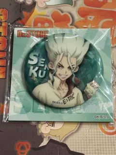 Dr.STONE 石神千空 アクリルキーホルダー・缶バッジセット - メルカリ
