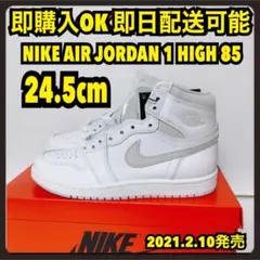 希少 24.5cm ナイキ エアジョーダン1 85 ニュートラルグレー