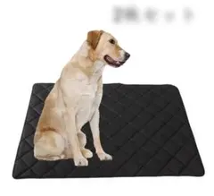 Item thumbnail for item f0e63dbc-d2c5-46ba-98c2-32eb009a7700