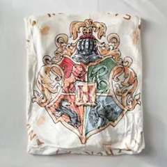 Item thumbnail for item 4adcac74-1561-43cc-a2c6-9ce9f3595d5a