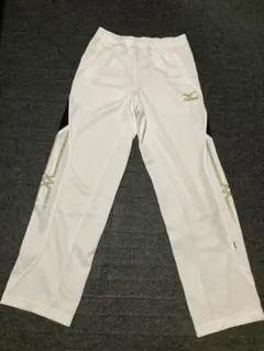 Item thumbnail for item 2edda7f2-bcd1-4891-a957-32b44ba89961