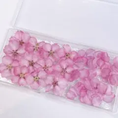 Viora様 リクエスト 2点 まとめ商品