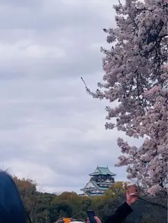 【ブラックホワイト】ナイキNIKEソックス　レディースソックス　婦人靴下　五足