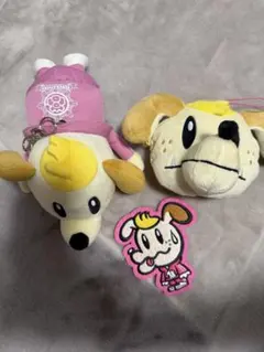 GENERATIONS ジェネ犬 小森隼