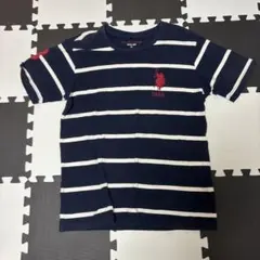 USPA ストライプ Tシャツ ネイビー/ホワイト
