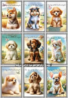 kai_mam様 リクエスト 2点 まとめ商品