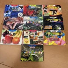 Item thumbnail for item 8ef4764f-2b9c-4d0f-8b53-42d90ca8ea75