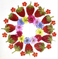 2026年最新】マトリカリア ダブルラテの人気アイテム - メルカリ