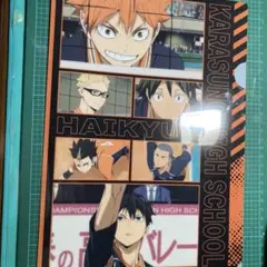 ハイキュー!! 烏野高校 A4クリアファイル