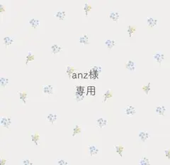 anz様 専用ෆ