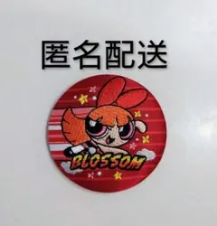 パワーパフガールズ　刺繍缶バッチ　ブロッサム