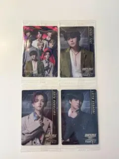 BOT ウエハース　fantastics