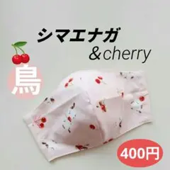 Item thumbnail for item ecf6a1c5-6a17-4c39-8d17-70a85f8d4c3c