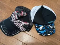 Item thumbnail for item 2b1a20f9-c404-432b-8a2e-0028fa99bd26