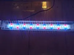 GEX 水槽用 LEDライト 60cm アクアリウム 水草