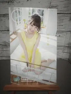週刊少年マガジン特製 乃木坂46ミニフォトブック　西野七瀬