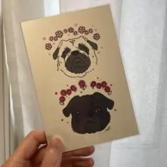 Item thumbnail for item d0cd078f-f1e0-48cd-b98b-a9fba96fb95a