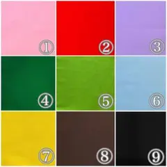 Item thumbnail for item 5aa92537-d59f-47f4-9a41-fe51f08c44a4