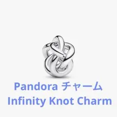 Pandora(パンドラ) チャーム Infinity Knot Charmのサムネイル