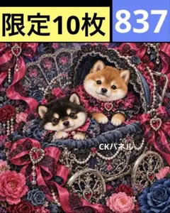 限定10枚！　犬 レアパネル生地　無くなり次第終了です