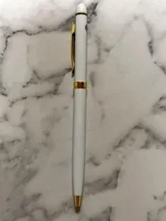 Item thumbnail for item 9667c7c2-a63e-4bdb-9924-1e290ba58592