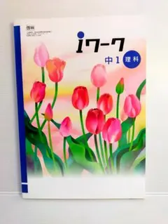 さぼてん様 リクエスト 2点 まとめ商品