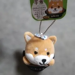 旅するマメしば　山形バージョン 芋煮 山形芋煮 タグ付き