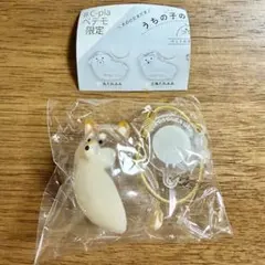 うちの子のけだまだま 犬のけだまだま 柴犬 #C-pla ぺテモ 限定アソート