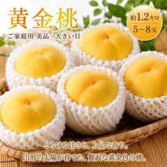 岡山 ブランドNo. 1❗️一宮産 絶品清水白桃 家庭用4〜8個箱込1.5キロ