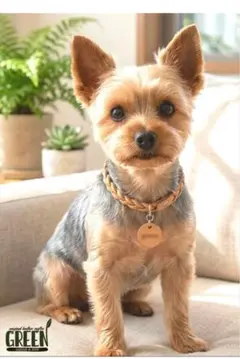 本革　首輪　犬用　猫用　チョーカー　ヌメ革　ナチュラル　三つ編み　ネーム刻印