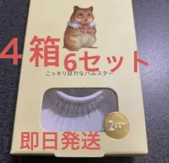 Dolly wink ４箱6セットのサムネイル